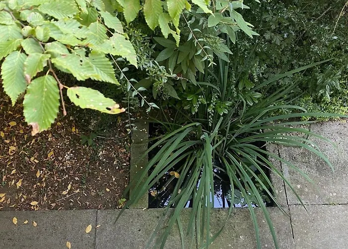 Duplex Loft * Evilard